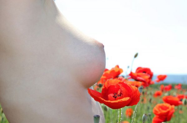 Шикарная молодая девушка позирует на поле с цветами