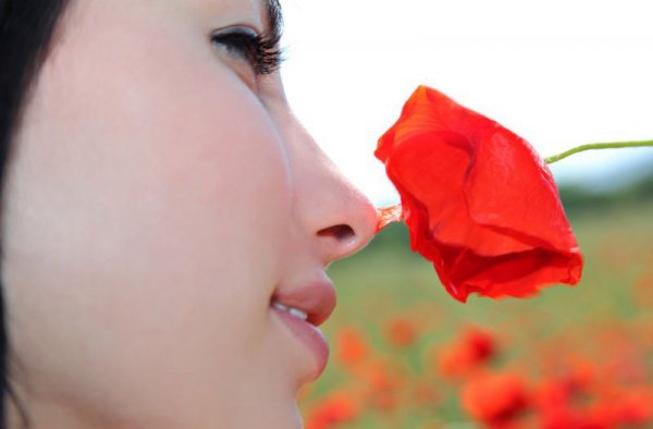 Шикарная молодая девушка позирует на поле с цветами
